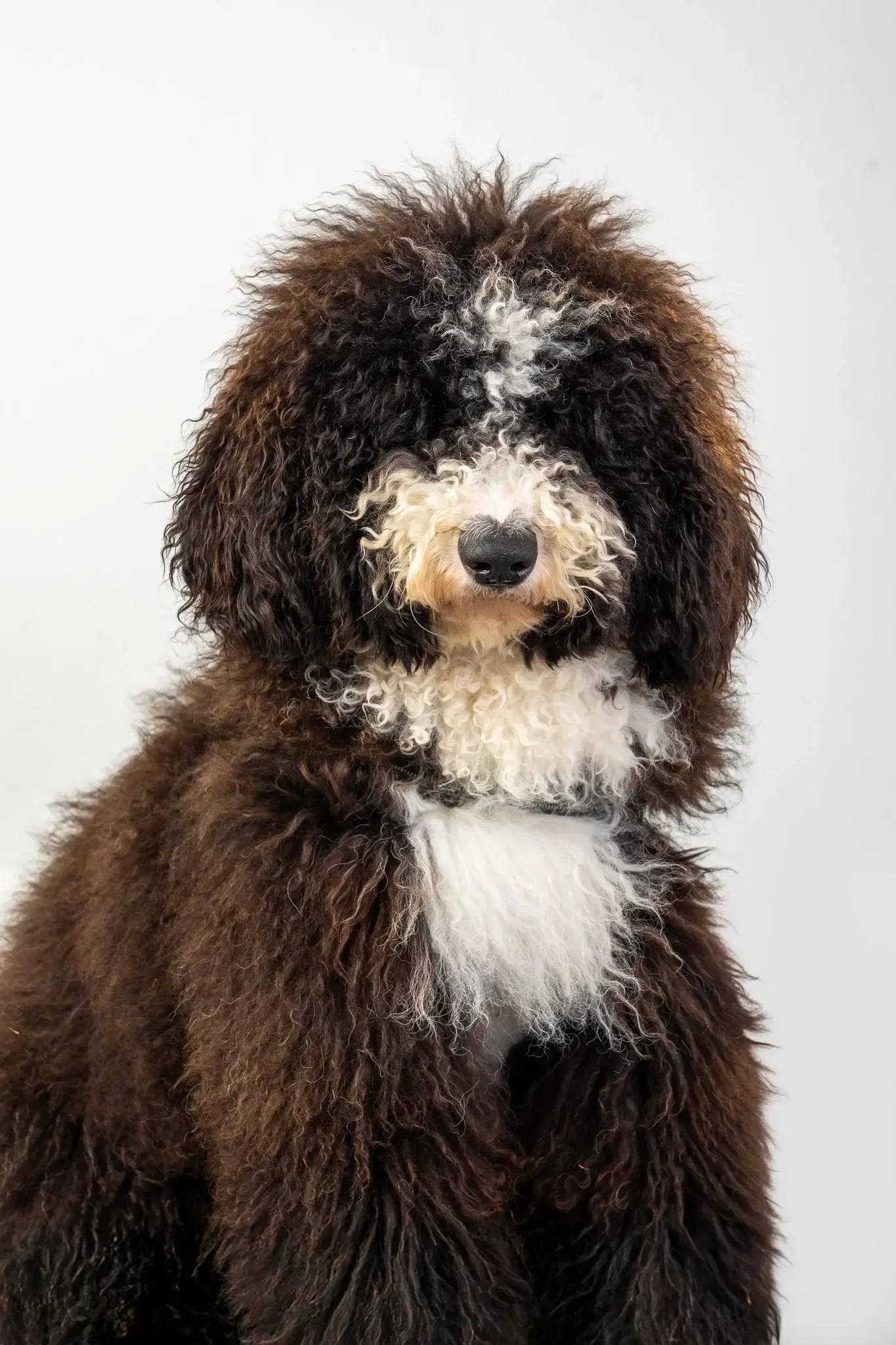 portugal-the-place-108