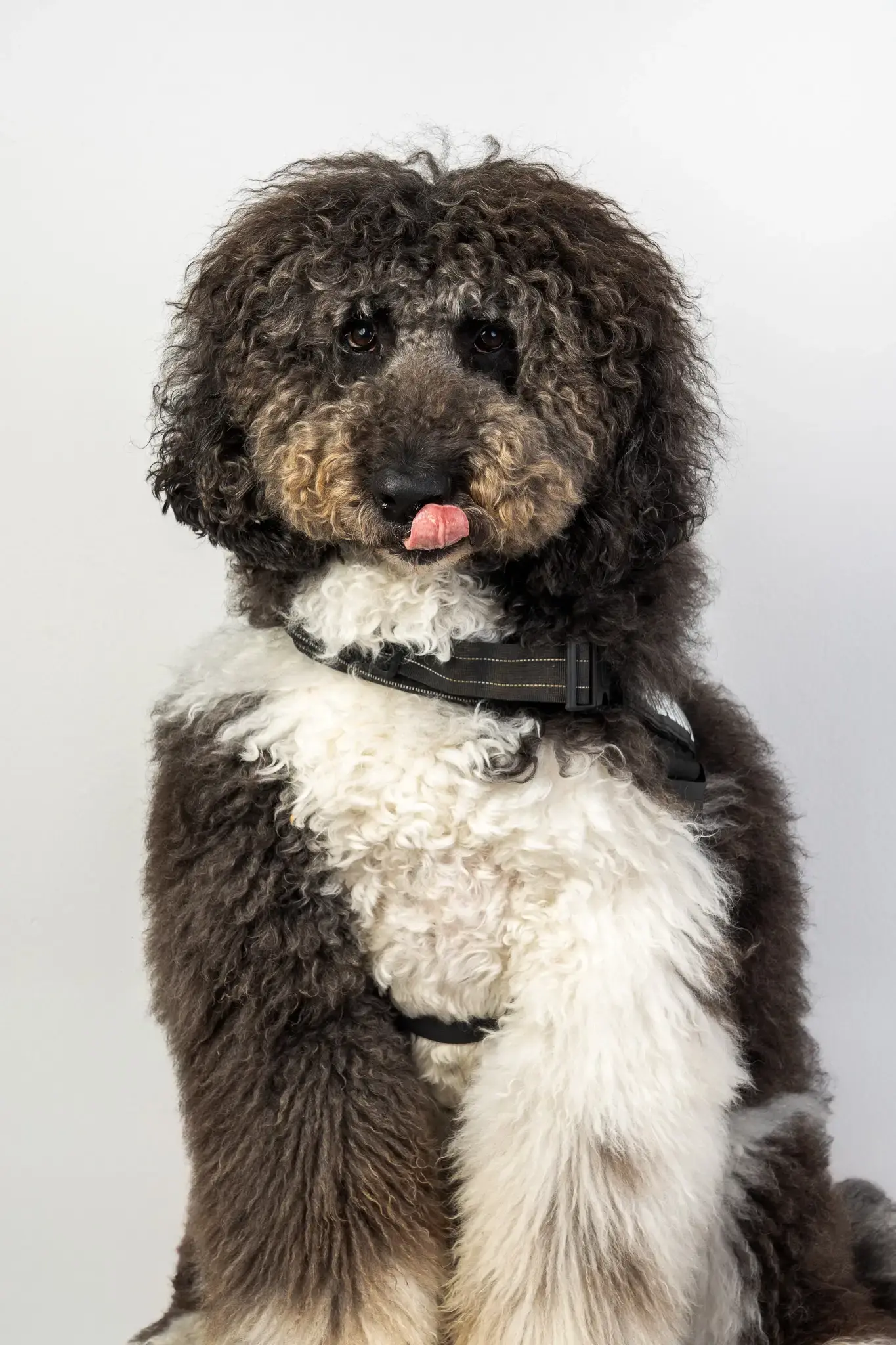 portugal-the-place-109